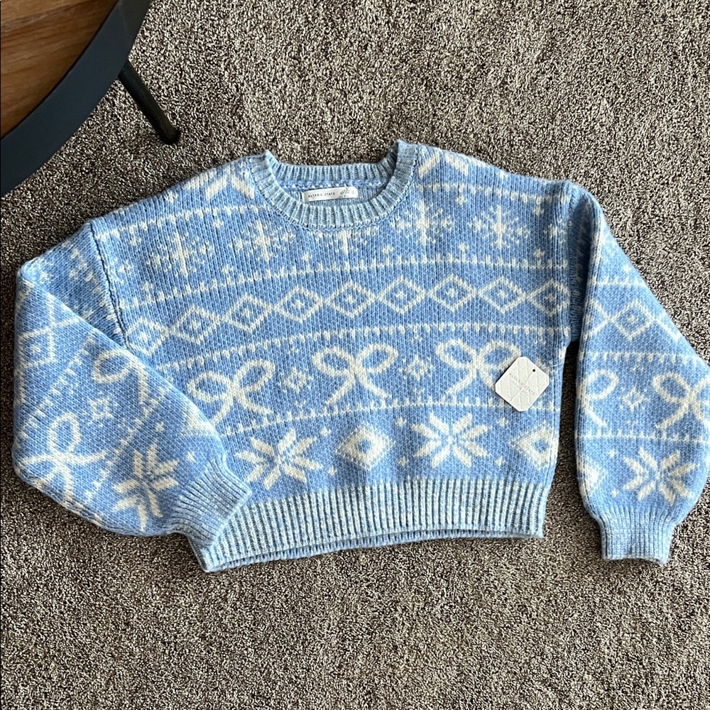 NWT Altar’d State thick blue& white crew neck sweater